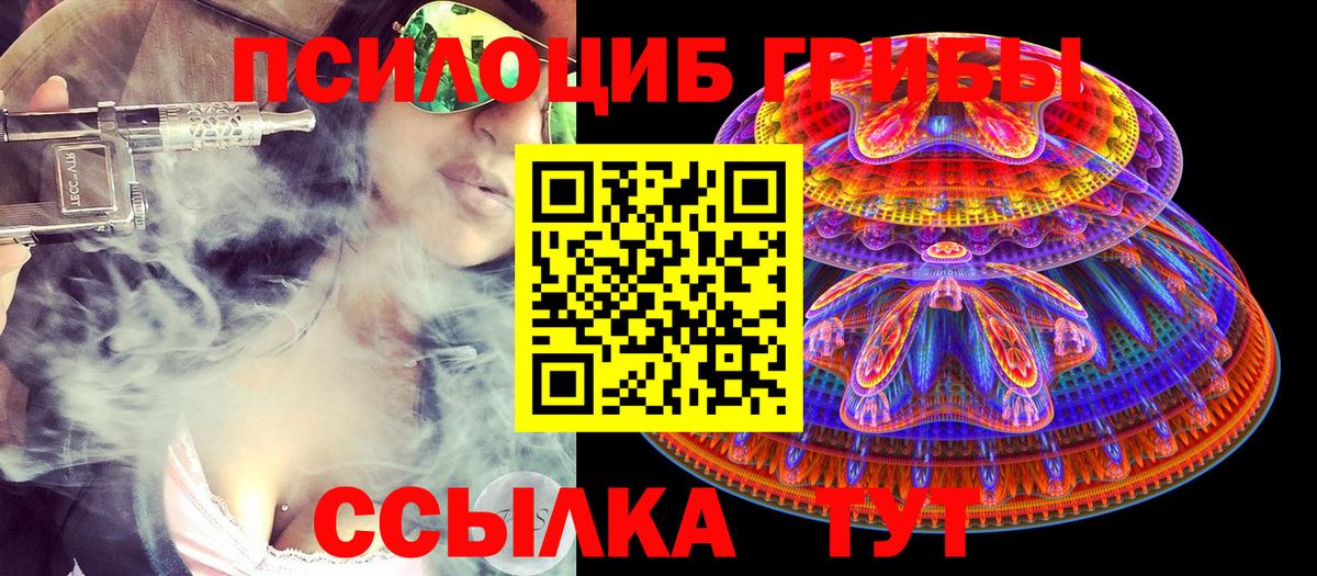 Псилоцибиновые грибы Psilocybe  Вход с VPN  Псилоцибиновые грибы MAGIC MUSHROOMS  Гусиноозёрск 