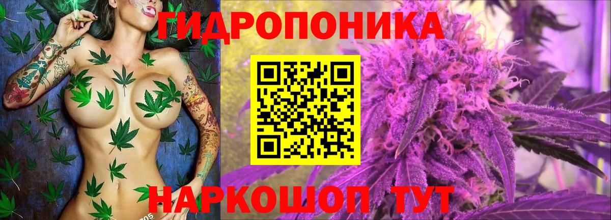 Гусиноозёрск  Марихуана SATIVA & INDICA  Марихуана AK-47  Вход с VPN  Шишки марихуана AK-47 